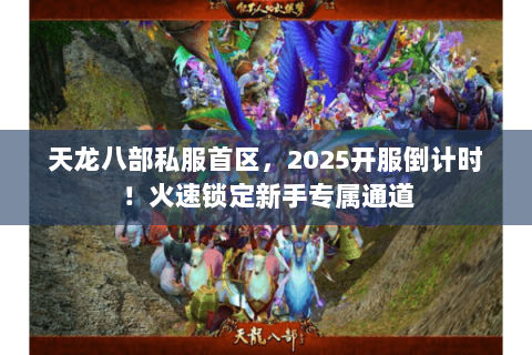 天龙八部私服首区，2025开服倒计时！火速锁定新手专属通道