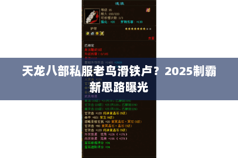 天龙八部私服老鸟滑铁卢?2025制霸新思路曝光 天龙八部私服老鸟滑铁卢?2025制霸新思路曝光