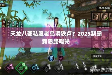 天龙八部私服老鸟滑铁卢?2025制霸新思路曝光 天龙八部私服老鸟滑铁卢?2025制霸新思路曝光