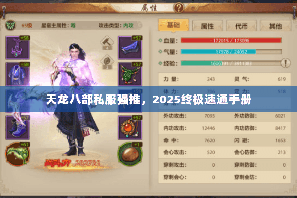 天龙八部私服强推，2025终极速通手册