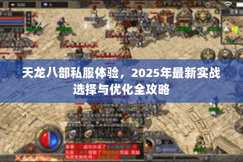 天龙八部私服体验,2025年最新实战选择与优化全攻略 天龙八部私服体验,2025年最新实战选择与优化全攻略