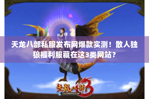 天龙八部私服发布网爆款实测！散人独狼福利服藏在这3类网站？