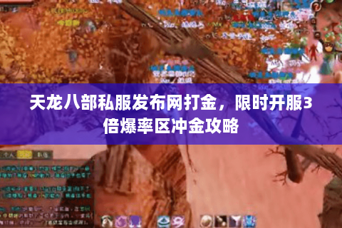 天龙八部私服发布网打金,限时开服3倍爆率区冲金攻略 天龙八部私服发布网打金,限时开服3倍爆率区冲金攻略