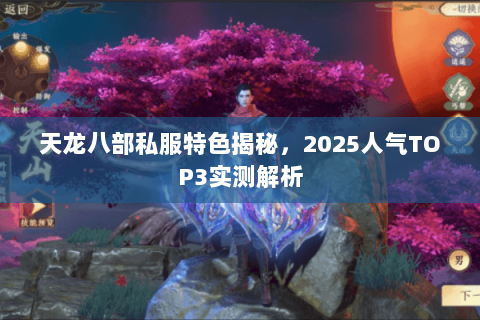 天龙八部私服特色揭秘，2025人气TOP3实测解析