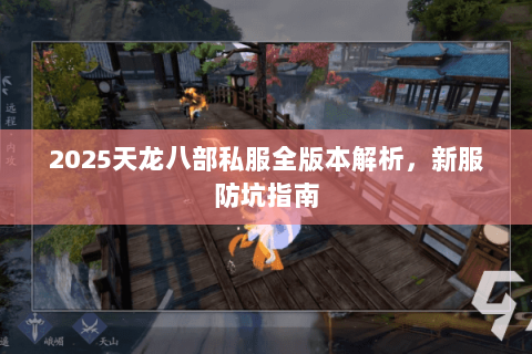 2025天龙八部私服全版本解析,新服防坑指南 2025天龙八部私服全版本解析,新服防坑指南
