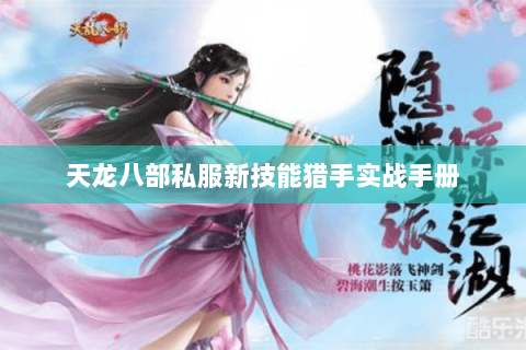 天龙八部私服新技能猎手实战手册 天龙八部私服新技能猎手实战手册