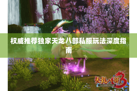 权威推荐独家天龙八部私服玩法深度指南 权威推荐独家天龙八部私服玩法深度指南