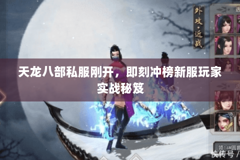 天龙八部私服刚开，即刻冲榜新服玩家实战秘笈