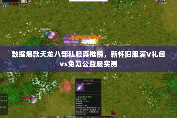 数据爆款天龙八部私服真推榜，新怀旧服满V礼包vs免氪公益服实测