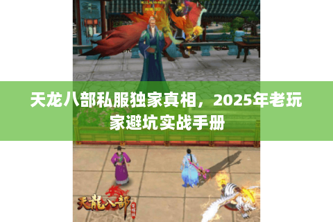 天龙八部私服独家真相,2025年老玩家避坑实战手册 天龙八部私服独家真相,2025年老玩家避坑实战手册