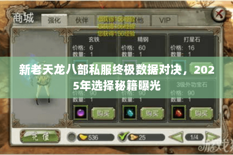 新老天龙八部私服终极数据对决，2025年选择秘籍曝光