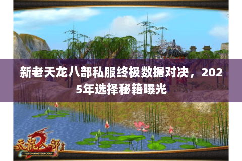新老天龙八部私服终极数据对决，2025年选择秘籍曝光