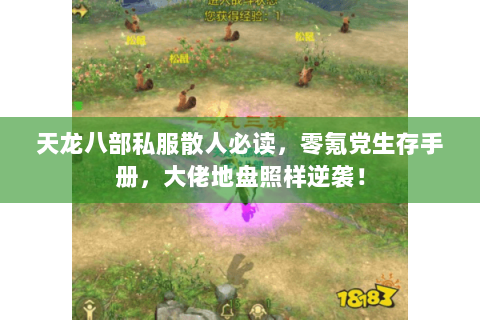 天龙八部私服散人必读，零氪党生存手册，大佬地盘照样逆袭！