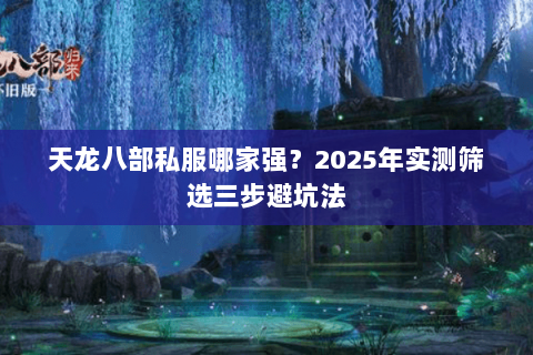 天龙八部私服哪家强？2025年实测筛选三步避坑法