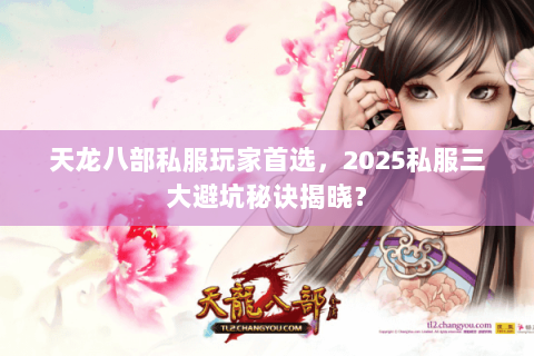 天龙八部私服玩家首选，2025私服三大避坑秘诀揭晓？