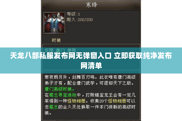 天龙八部私服发布网无弹窗入口 立即获取纯净发布网清单