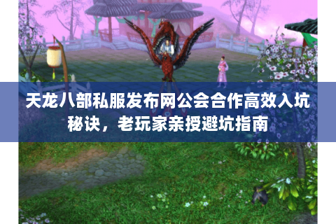 天龙八部私服发布网公会合作高效入坑秘诀，老玩家亲授避坑指南