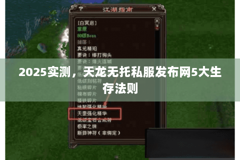 2025实测,天龙无托私服发布网5大生存法则 2025实测,天龙无托私服发布网5大生存法则
