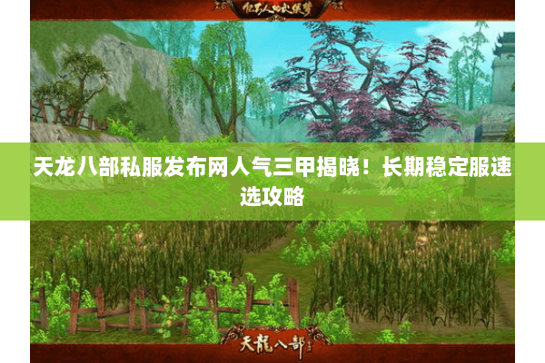 天龙八部私服发布网人气三甲揭晓！长期稳定服速选攻略