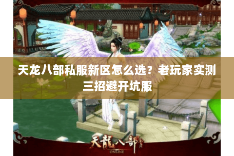 天龙八部私服新区怎么选?老玩家实测三招避开坑服 天龙八部私服新区怎么选?老玩家实测三招避开坑服