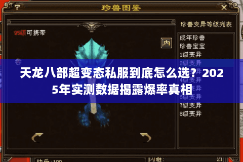 天龙八部超变态私服到底怎么选?2025年实测数据揭露爆率真相 天龙八部超变态私服到底怎么选?2025年实测数据揭露爆率真相