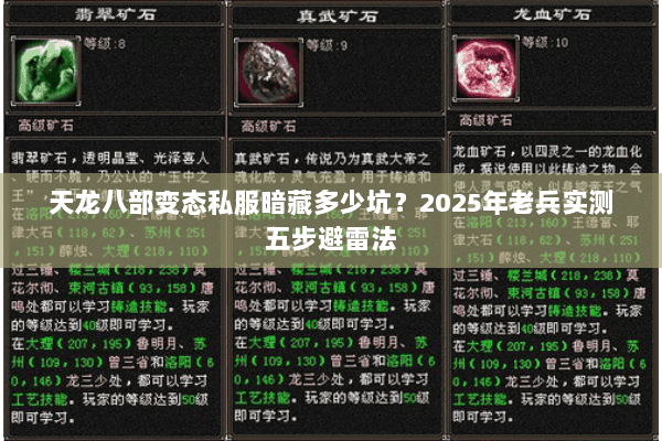 天龙八部变态私服暗藏多少坑？2025年老兵实测五步避雷法