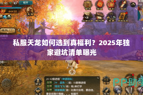 私服天龙如何选到真福利?2025年独家避坑清单曝光 私服天龙如何选到真福利?2025年独家避坑清单曝光
