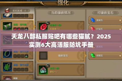 天龙八部私服贴吧有哪些猫腻？2025实测6大高活服防坑手册