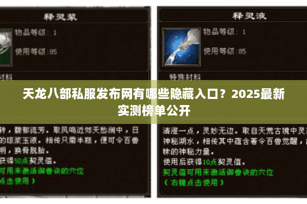 天龙八部私服发布网有哪些隐藏入口？2025最新实测榜单公开