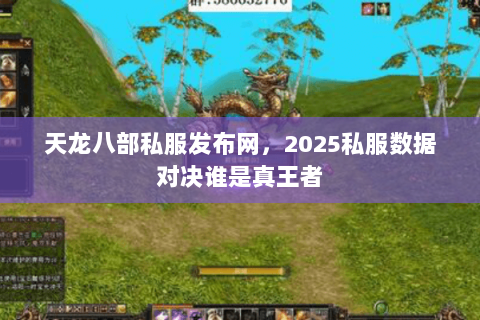 天龙八部私服发布网,2025私服数据对决谁是真王者 天龙八部私服发布网,2025私服数据对决谁是真王者