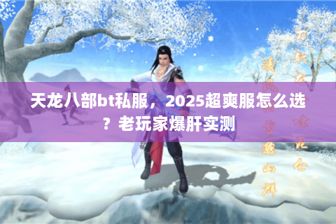 天龙八部bt私服，2025超爽服怎么选？老玩家爆肝实测