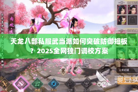 天龙八部私服武当派如何突破防御短板?2025全网独门调校方案 天龙八部私服武当派如何突破防御短板?2025全网独门调校方案