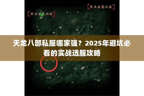 天龙八部私服哪家强?2025年避坑必看的实战选服攻略 天龙八部私服哪家强?2025年避坑必看的实战选服攻略