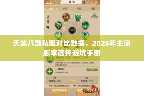 天龙八部私服对比数据，2025年主流版本选择避坑手册