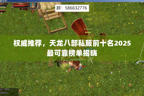 权威推荐,天龙八部私服前十名2025最可靠榜单揭晓 权威推荐,天龙八部私服前十名2025最可靠榜单揭晓