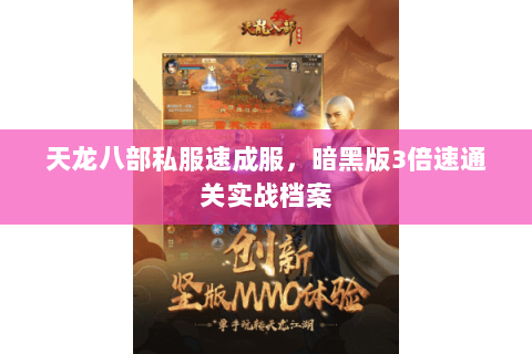 天龙八部私服速成服，暗黑版3倍速通关实战档案