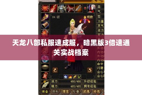 天龙八部私服速成服，暗黑版3倍速通关实战档案