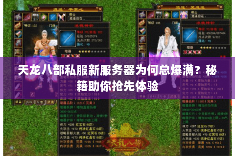 天龙八部私服新服务器为何总爆满?秘籍助你抢先体验 天龙八部私服新服务器为何总爆满?秘籍助你抢先体验