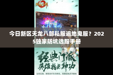 今日新区天龙八部私服遍地鬼服？2025独家防坑选服手册