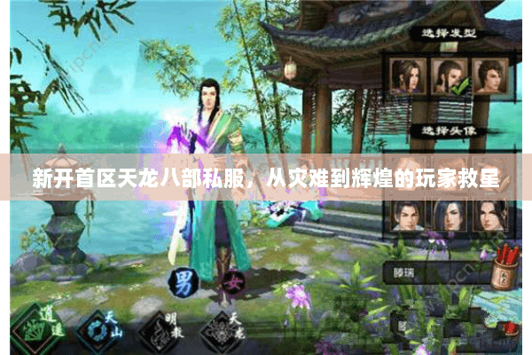新开首区天龙八部私服，从灾难到辉煌的玩家救星