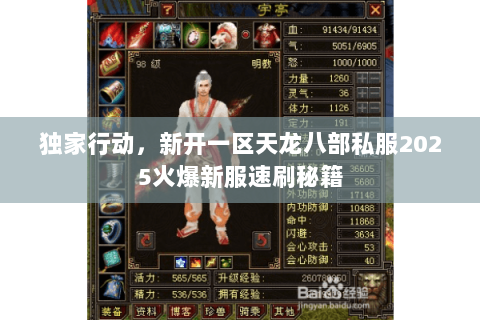 独家行动，新开一区天龙八部私服2025火爆新服速刷秘籍