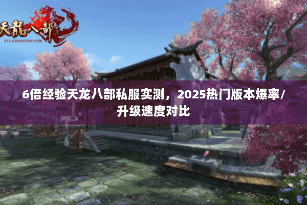 6倍经验天龙八部私服实测，2025热门版本爆率/升级速度对比