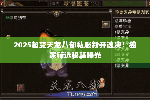 2025超变天龙八部私服新开速决！独家筛选秘籍曝光