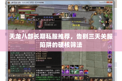 天龙八部长期私服推荐，告别三天关服陷阱的硬核筛法