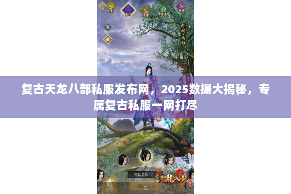 复古天龙八部私服发布网，2025数据大揭秘，专属复古私服一网打尽