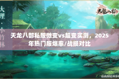 天龙八部私服微变vs超变实测，2025年热门服爆率/战损对比