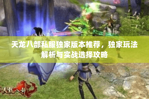 天龙八部私服独家版本推荐,独家玩法解析与实战选择攻略 天龙八部私服独家版本推荐,独家玩法解析与实战选择攻略