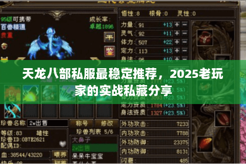 天龙八部私服最稳定推荐,2025老玩家的实战私藏分享 天龙八部私服最稳定推荐,2025老玩家的实战私藏分享