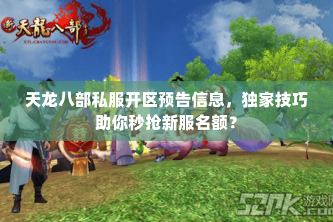 天龙八部私服开区预告信息，独家技巧助你秒抢新服名额？