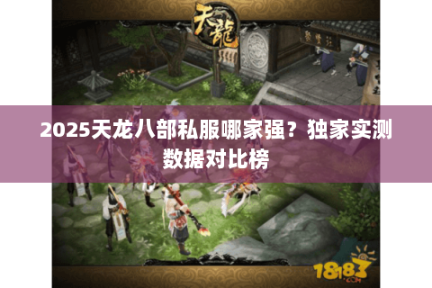 2025天龙八部私服哪家强?独家实测数据对比榜 2025天龙八部私服哪家强?独家实测数据对比榜